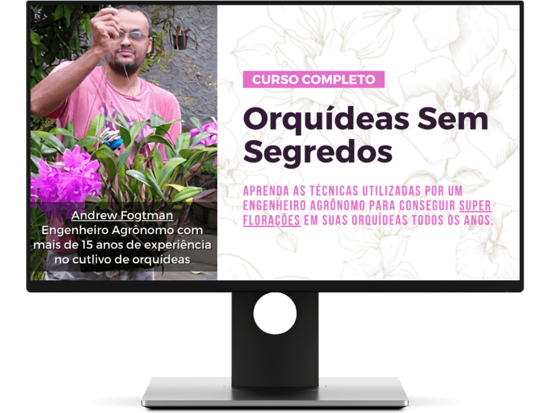 ORQUIDEAS-SEM-SEGREDOS