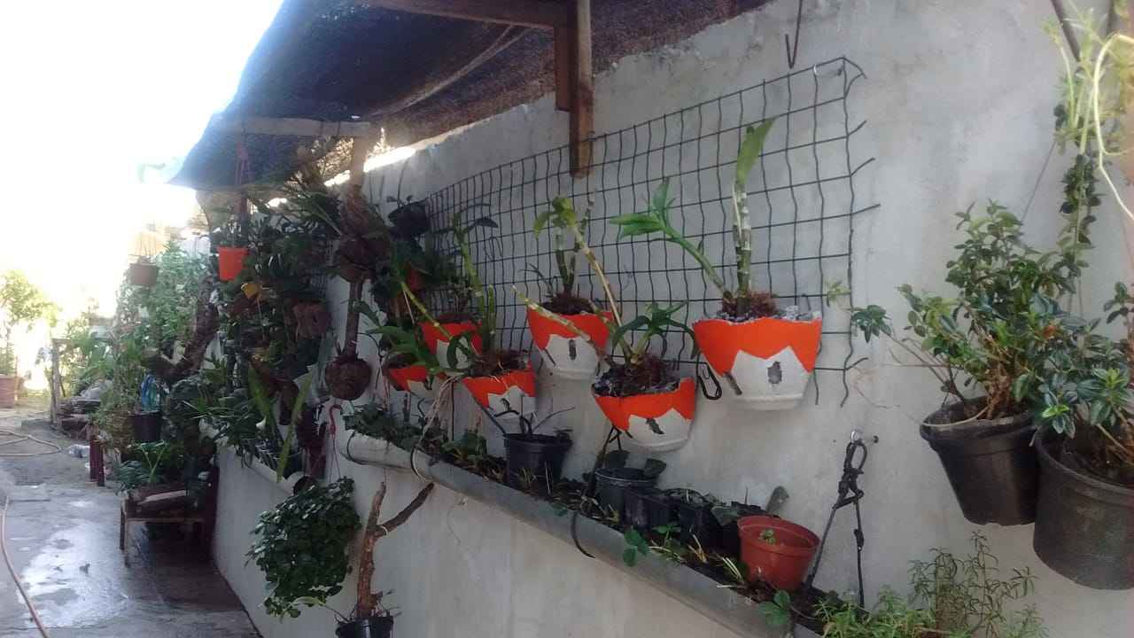 Angelita_11zon