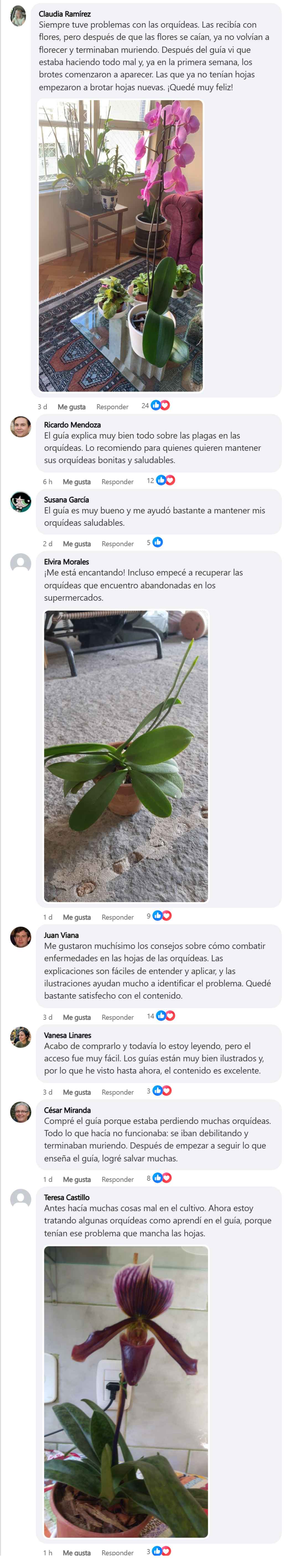 Fb-es_11zon