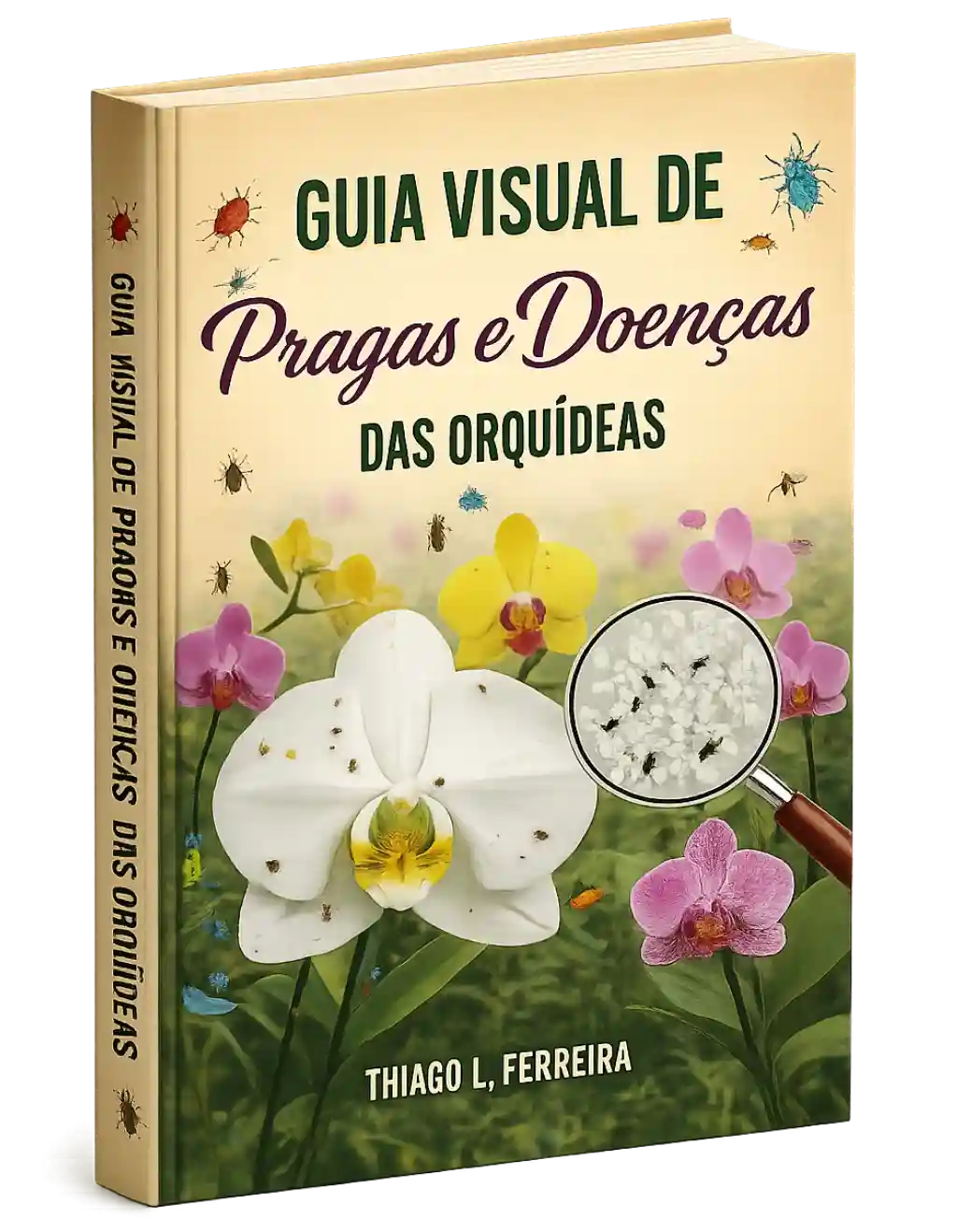 Capaebook2