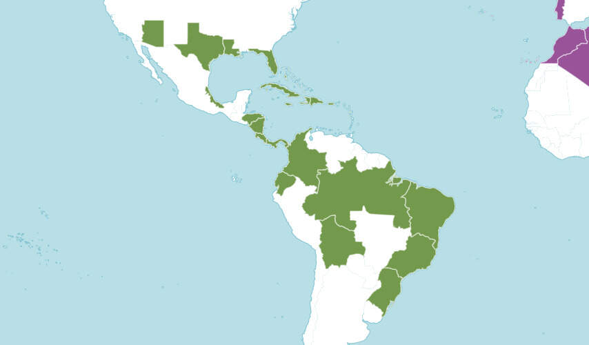 Nephrolepis-exaltata-distribuicao-na-america