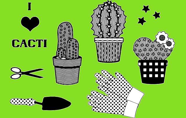 Replantio-de-cactos-ilustracao