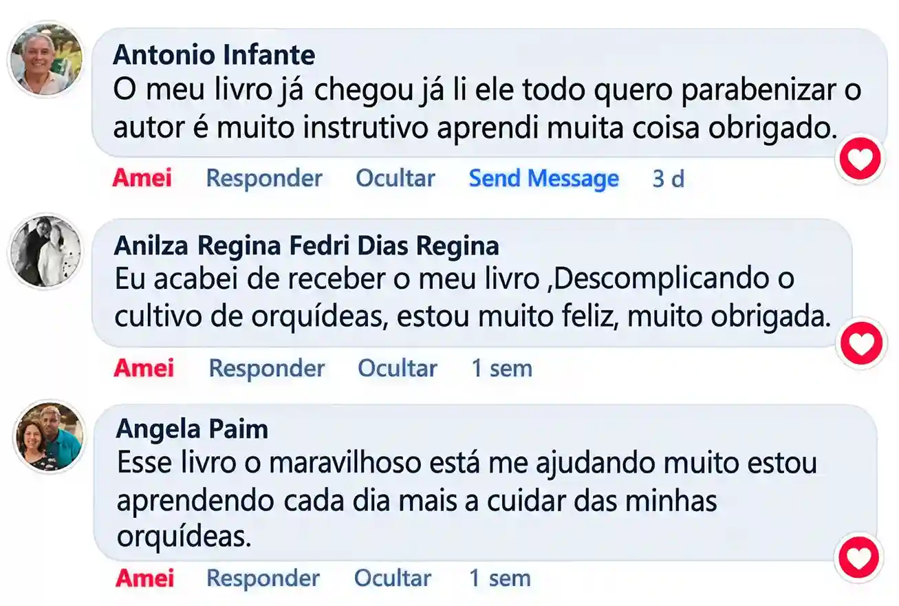 Comentários de leitores sobre o livro